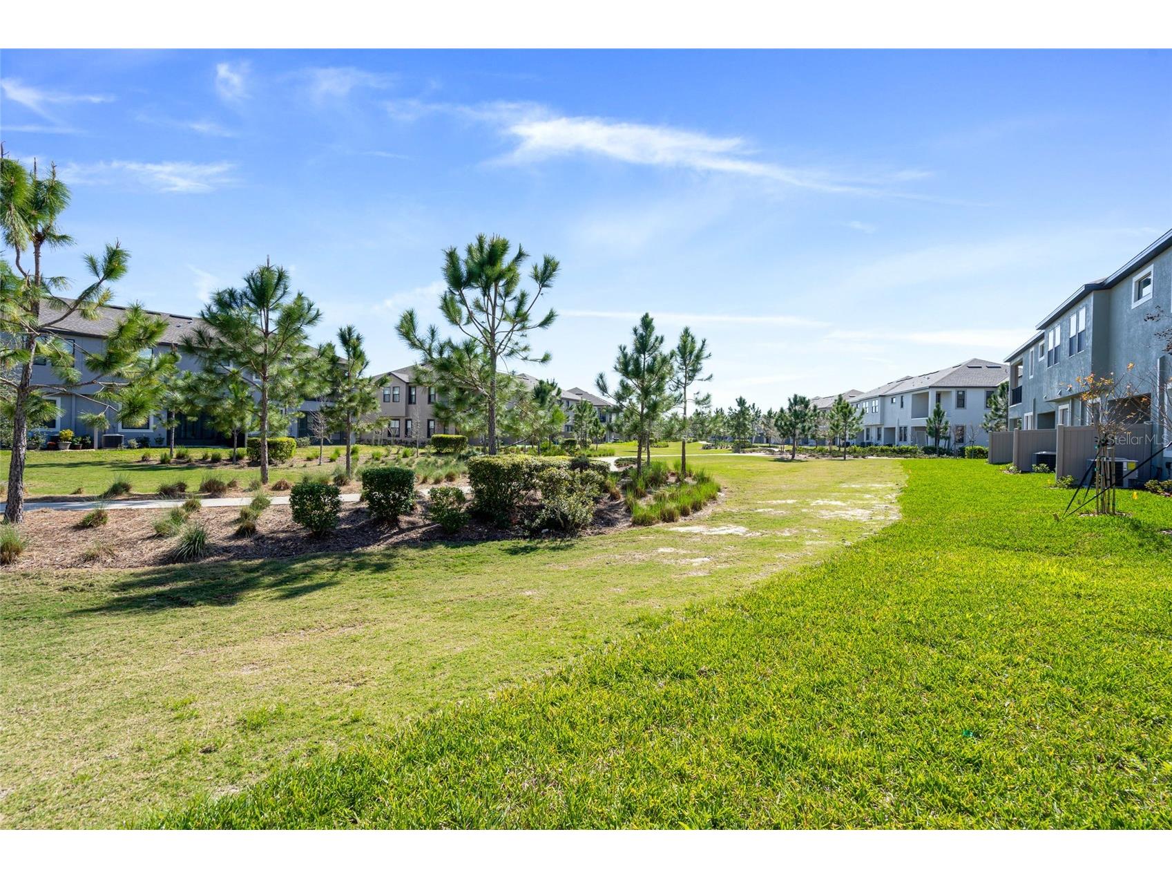 4989 San Martino Drive Wesley Chapel FL 33543 TB8514278 image30