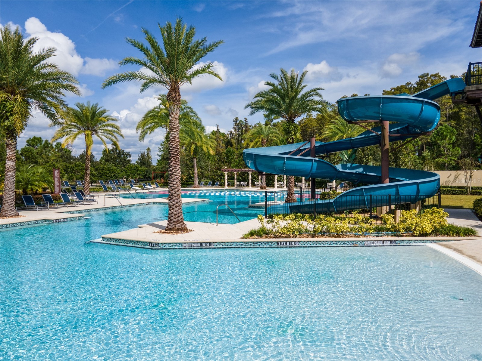 4989 San Martino Drive Wesley Chapel FL 33543 TB8514278 image42