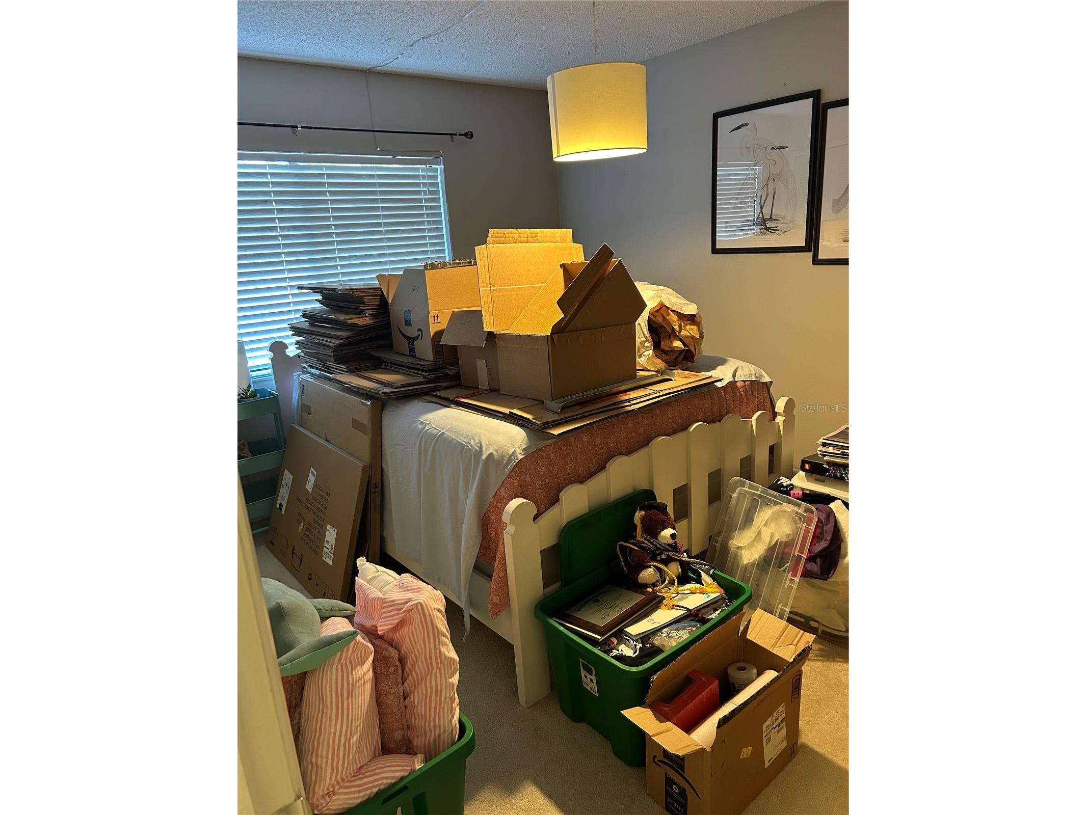 499 Club Drive Winter Springs FL 32708 O6391855 image8