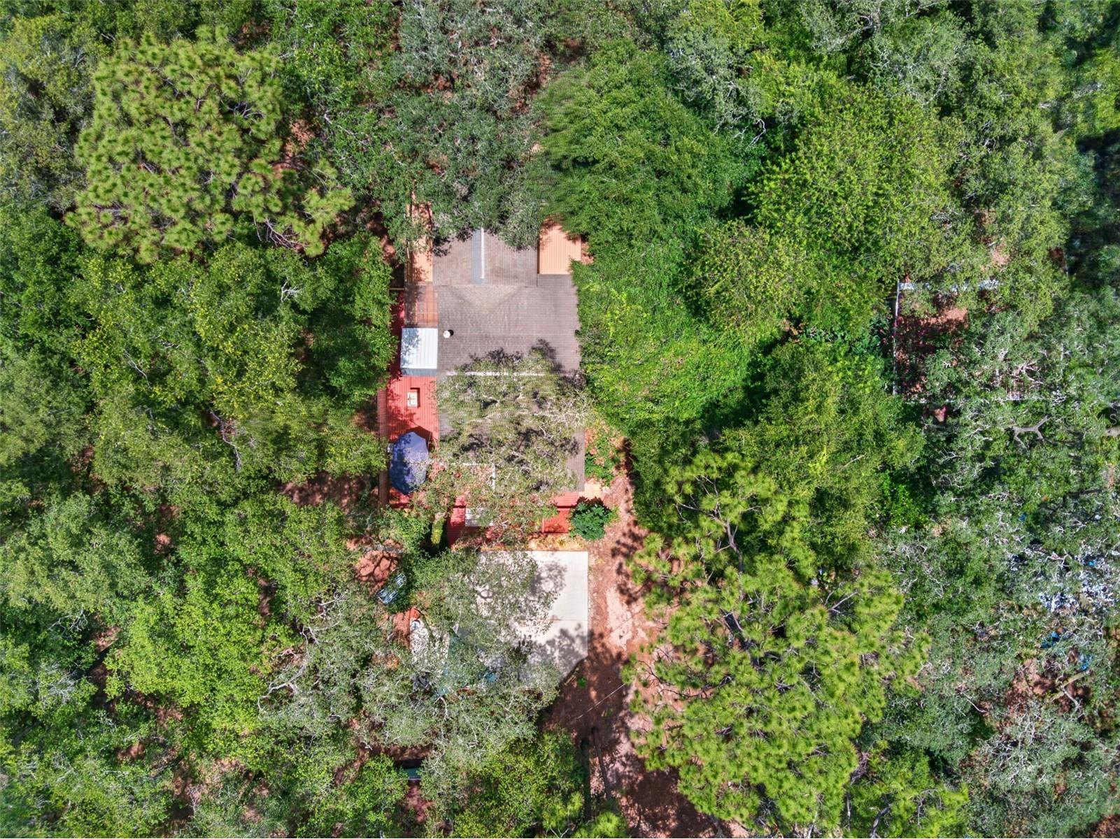 499 SE 58th Street Keystone Heights FL 32656 GC541794 image34