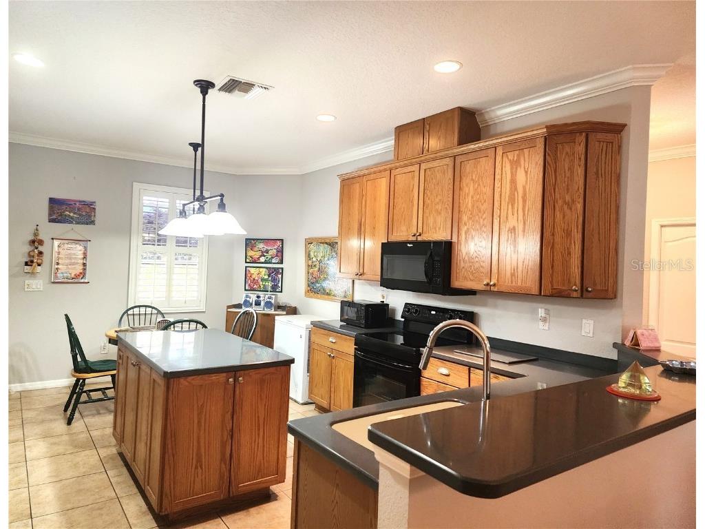 4990 SW 63rd Loop Ocala FL 34474 OM702172 image4