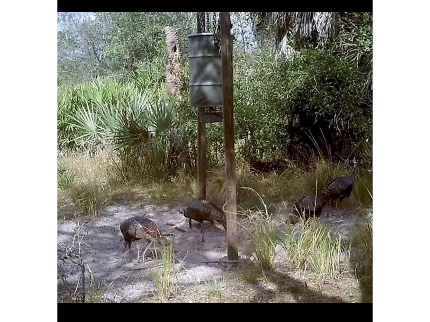 49909 Bermont Road Punta Gorda FL 33982 N6144990 image11