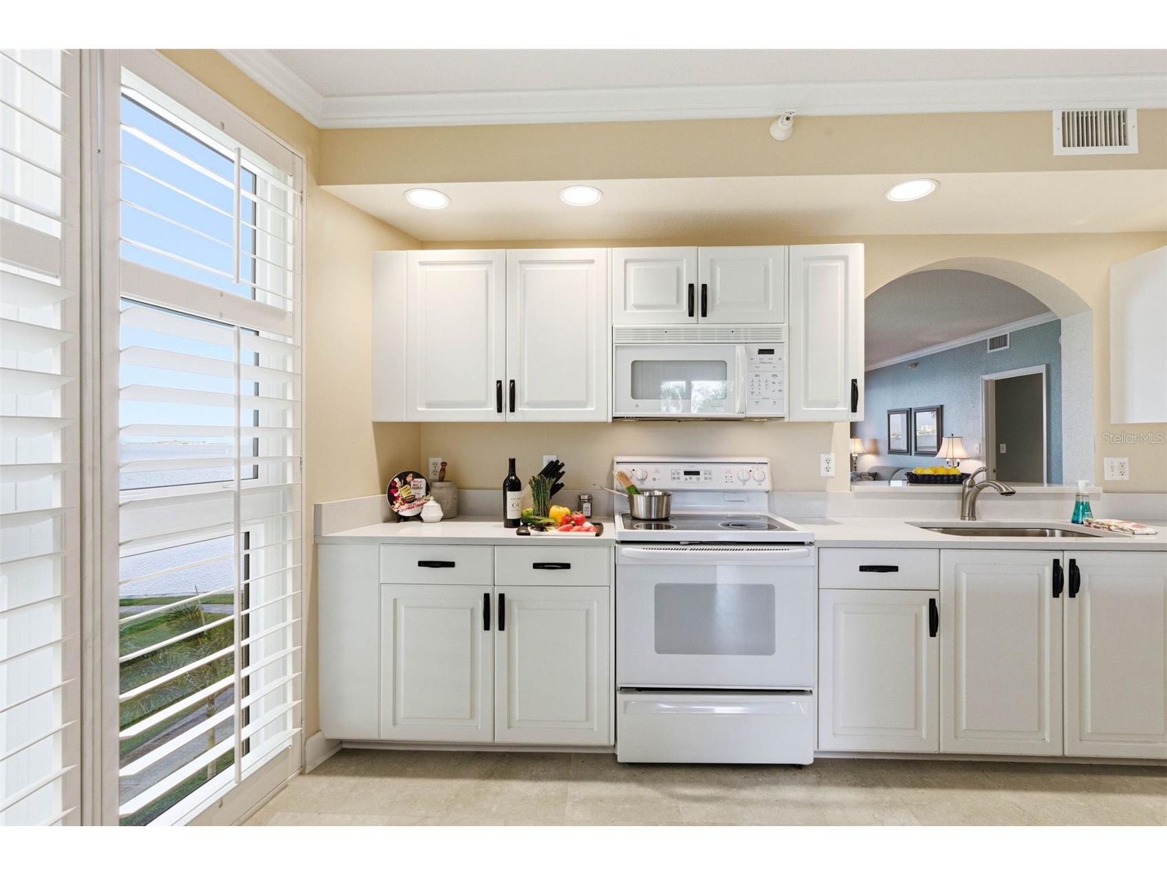 4991 Bacopa Lane S #201 Saint Petersburg FL 33715 - BOCA CIEGA BAY TB8463325 image10