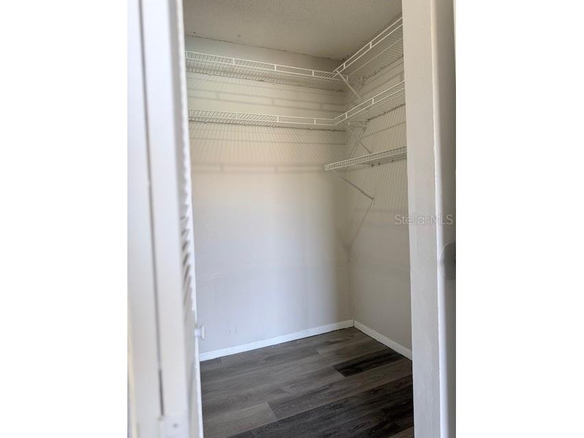 4991 Puritan Circle #522 Tampa FL 33617 TB8467240 image12