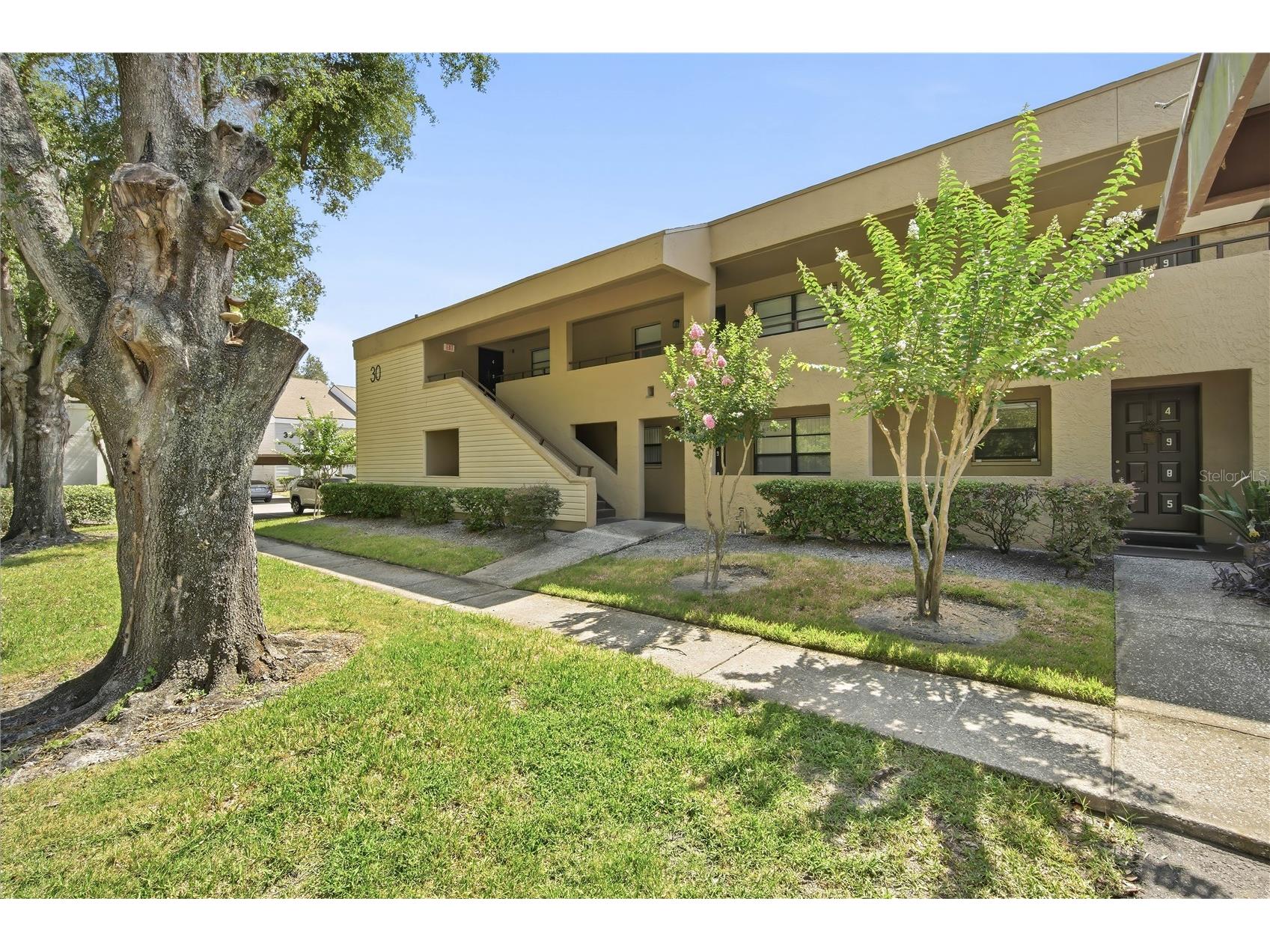 4991 Puritan Circle #0522 Tampa FL 33617 TB8522954 image1