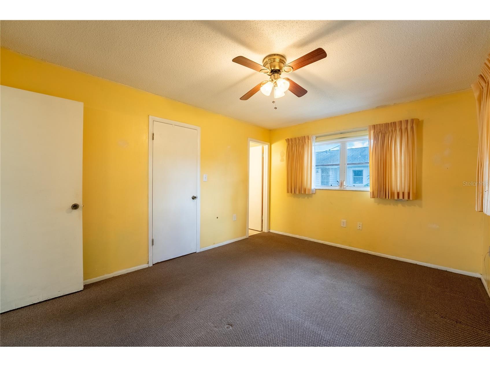 4991 Springwood Court #282 Pinellas Park FL 33782 TB8483666 image20