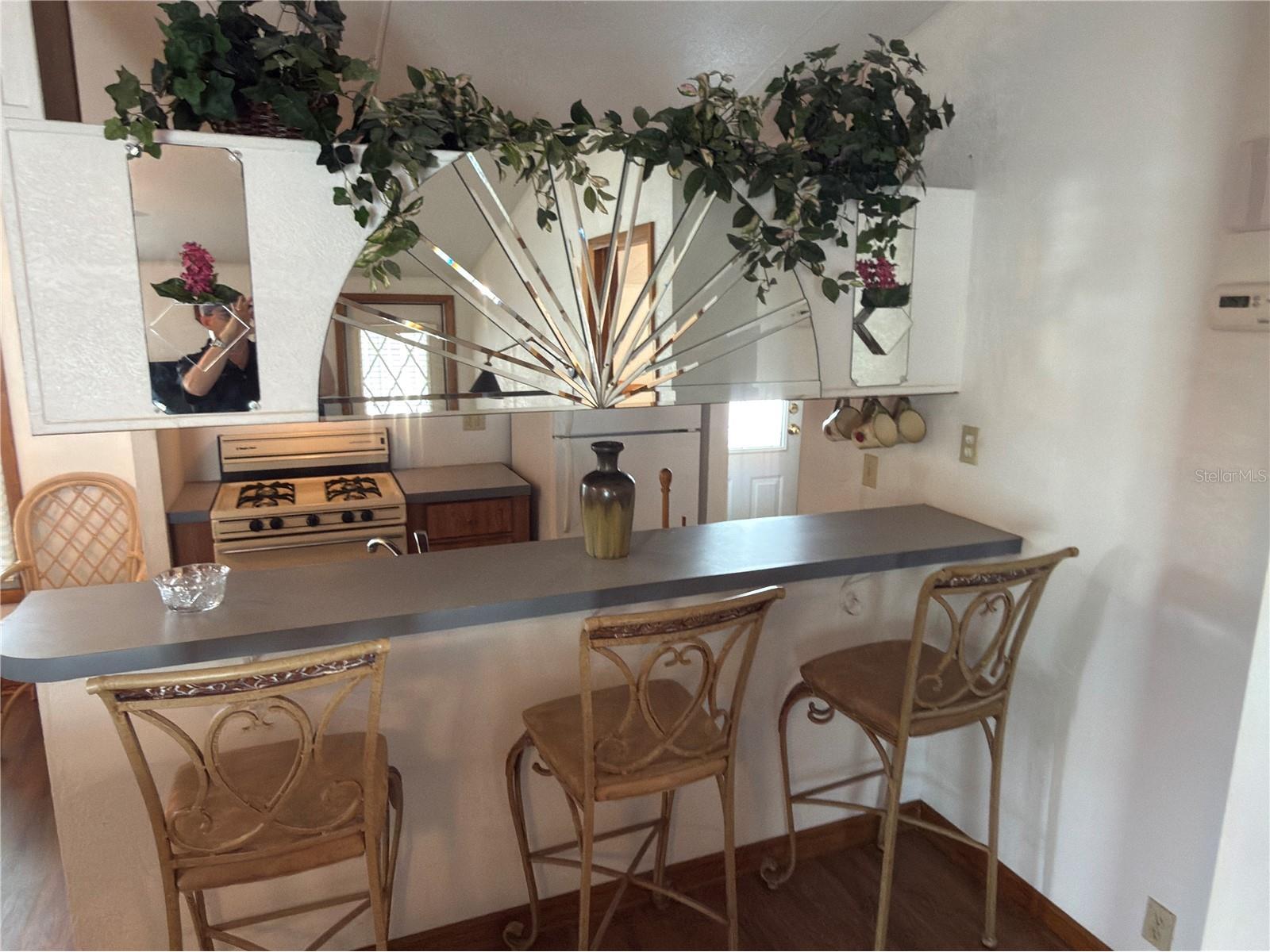 4992 Shore Line Drive Polk City FL 33868 P4937749 image13