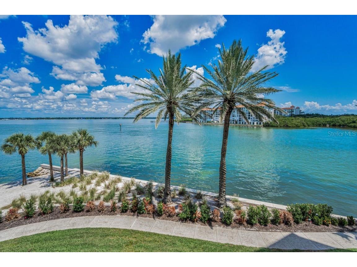 4993 Bacopa Lane S #204 Saint Petersburg FL 33715 - BOCA CIEGA BAY TB8413166 image13