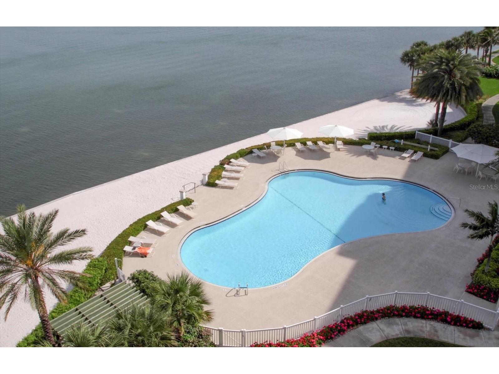 4993 Bacopa Lane S #505 Saint Petersburg FL 33715 TB8477049 image29