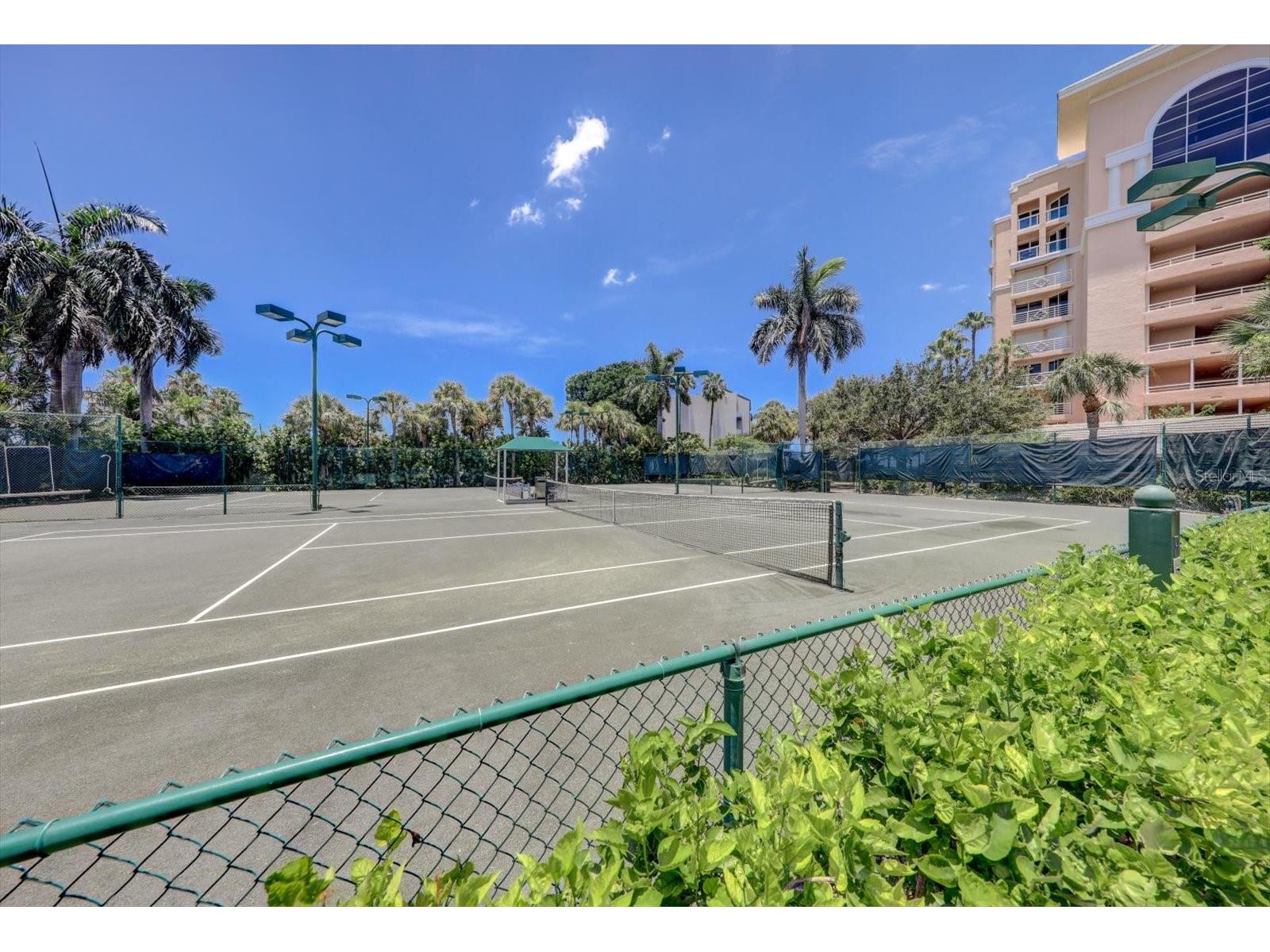 4993 Bacopa Lane S #505 Saint Petersburg FL 33715 TB8477049 image34