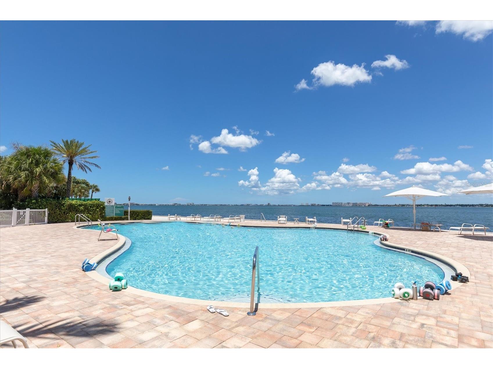 4993 Bacopa Lane S #705 Saint Petersburg FL 33715 - BOCA CIEGA BAY & INTRACOASTAL TB8476898 image3