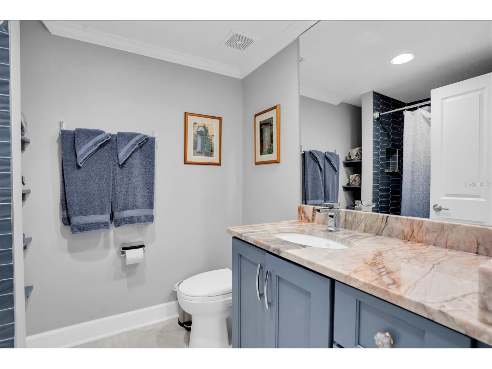 4993 Bacopa Lane S #705 Saint Petersburg FL 33715 - BOCA CIEGA BAY & INTRACOASTAL TB8476898 image45