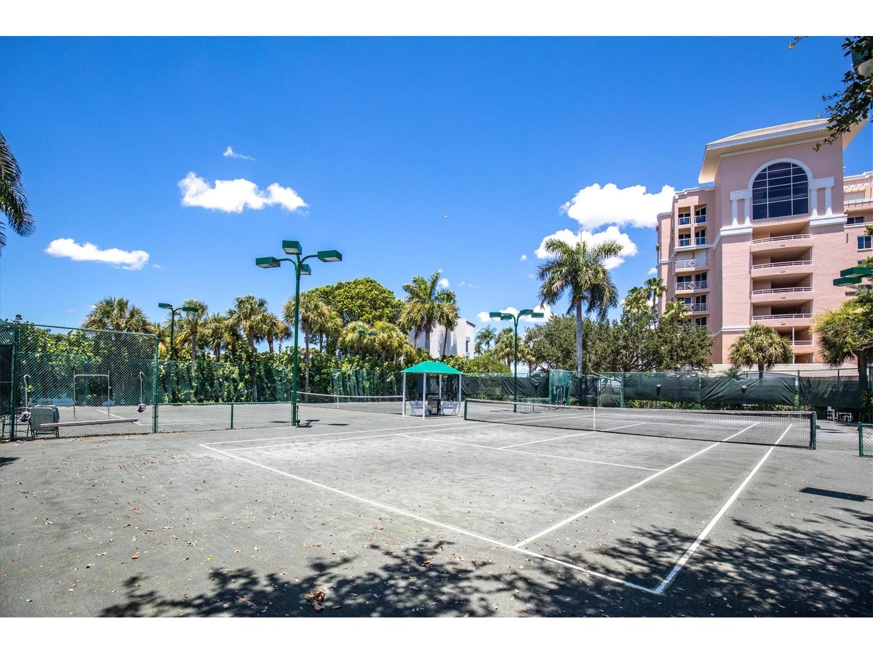 4993 Bacopa Lane S #705 Saint Petersburg FL 33715 - BOCA CIEGA BAY & INTRACOASTAL TB8476898 image69