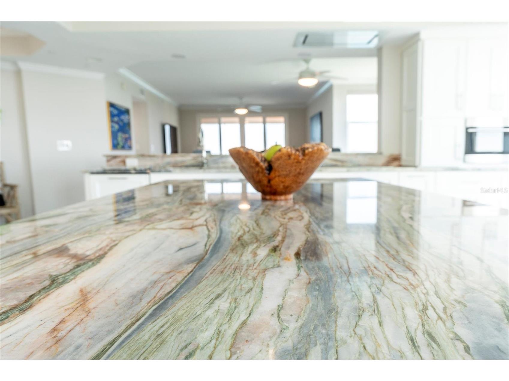 4993 Bacopa Lane S #705 Saint Petersburg FL 33715 - BOCA CIEGA BAY & INTRACOASTAL TB8476898 image9