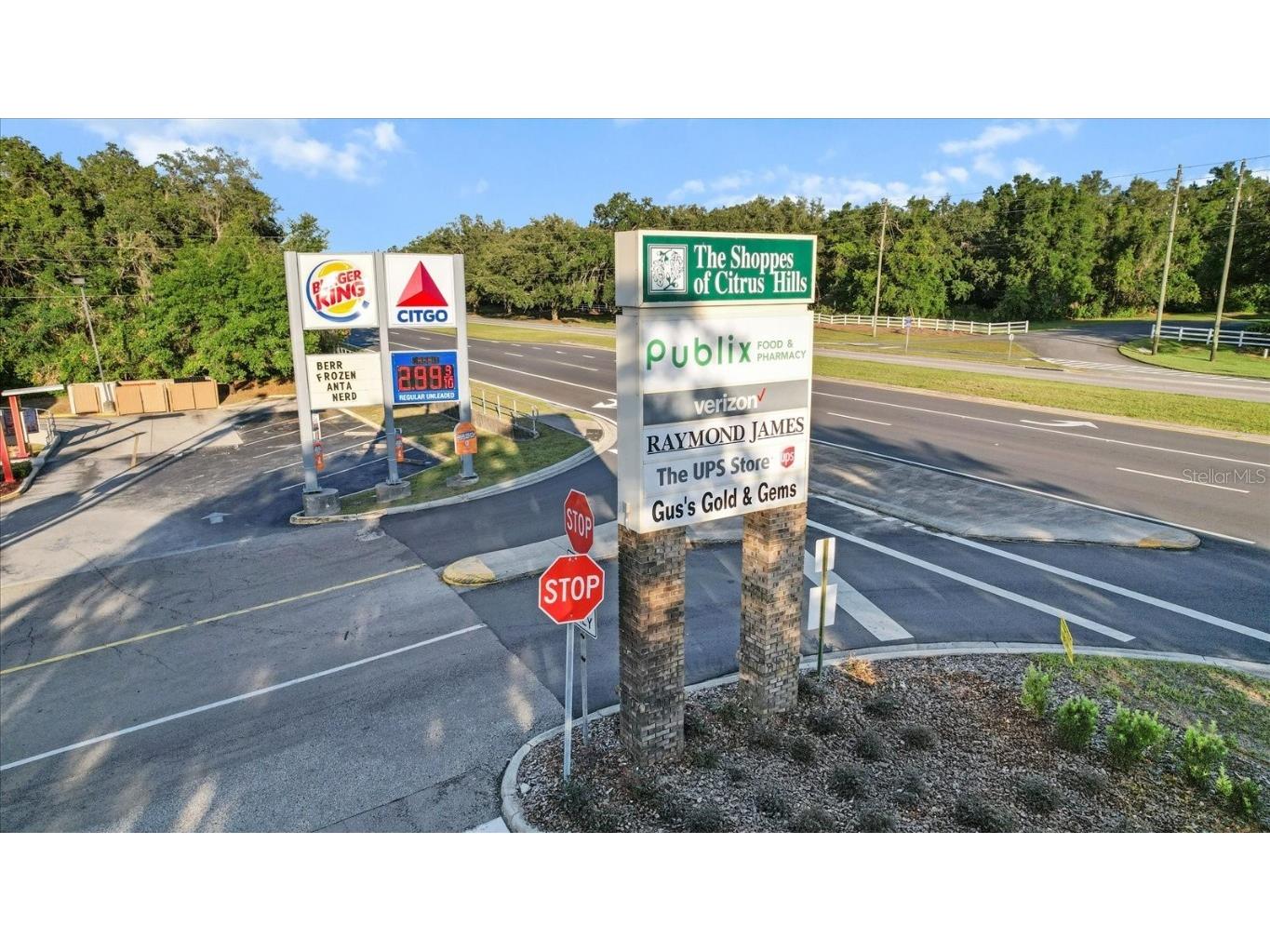 4993 N Triple Eagle Path Beverly Hills FL 34465 OM694153 image36