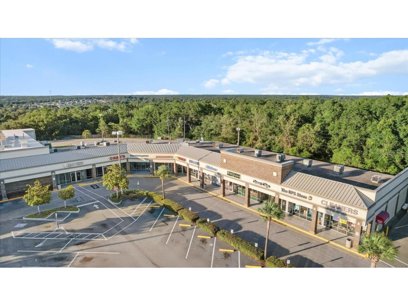 4993 N Triple Eagle Path Beverly Hills FL 34465 OM694153 image41