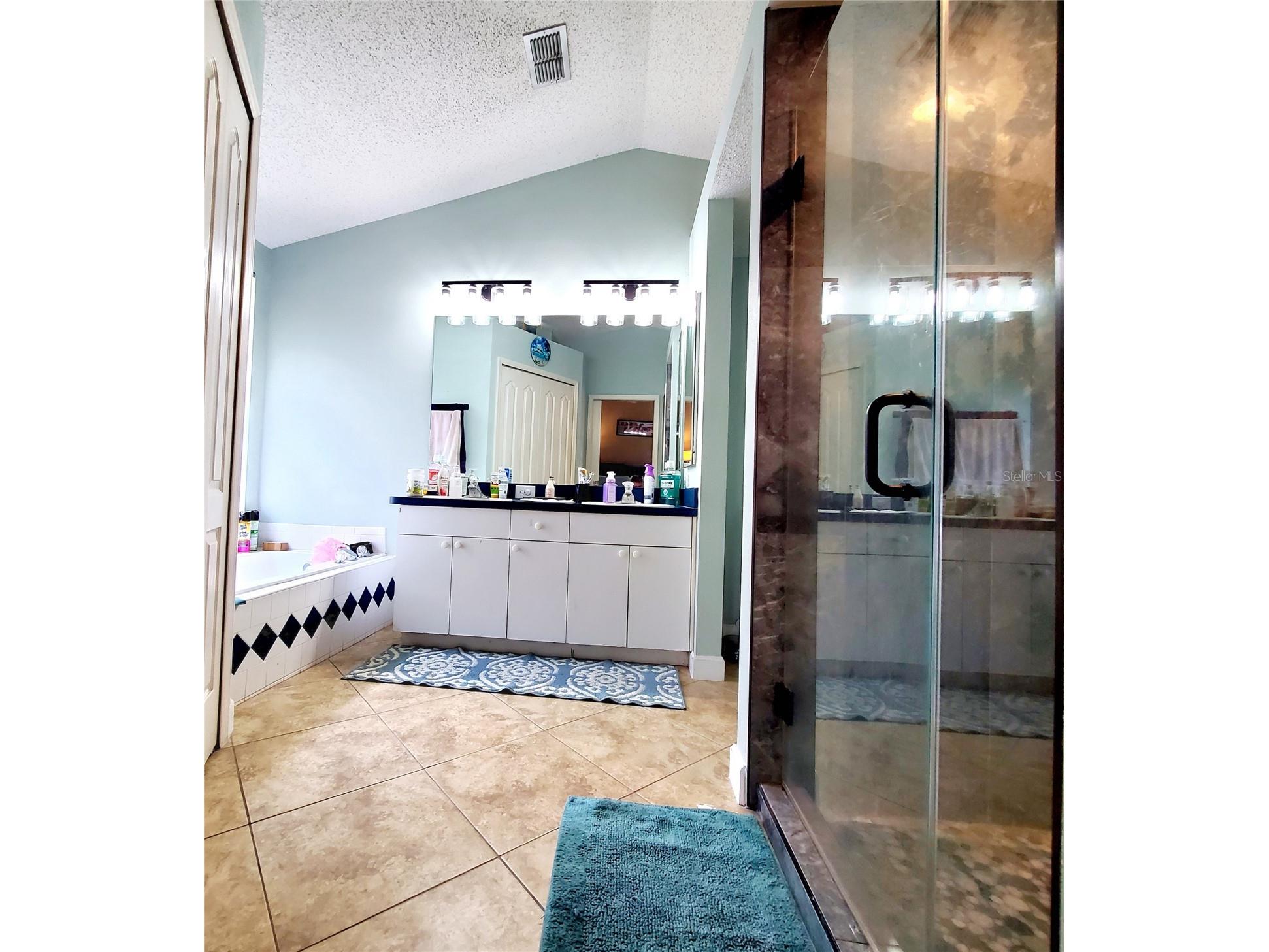 4994 Ridgemoor Circle Palm Harbor FL 34685 TB8495926 image14