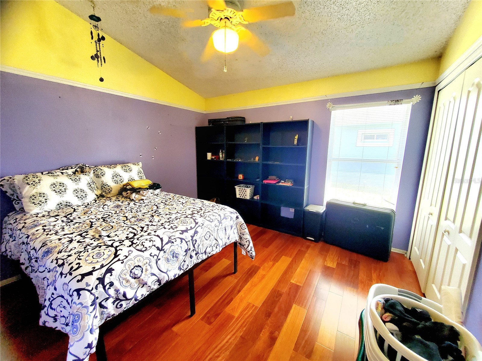 4994 Ridgemoor Circle Palm Harbor FL 34685 TB8495926 image16