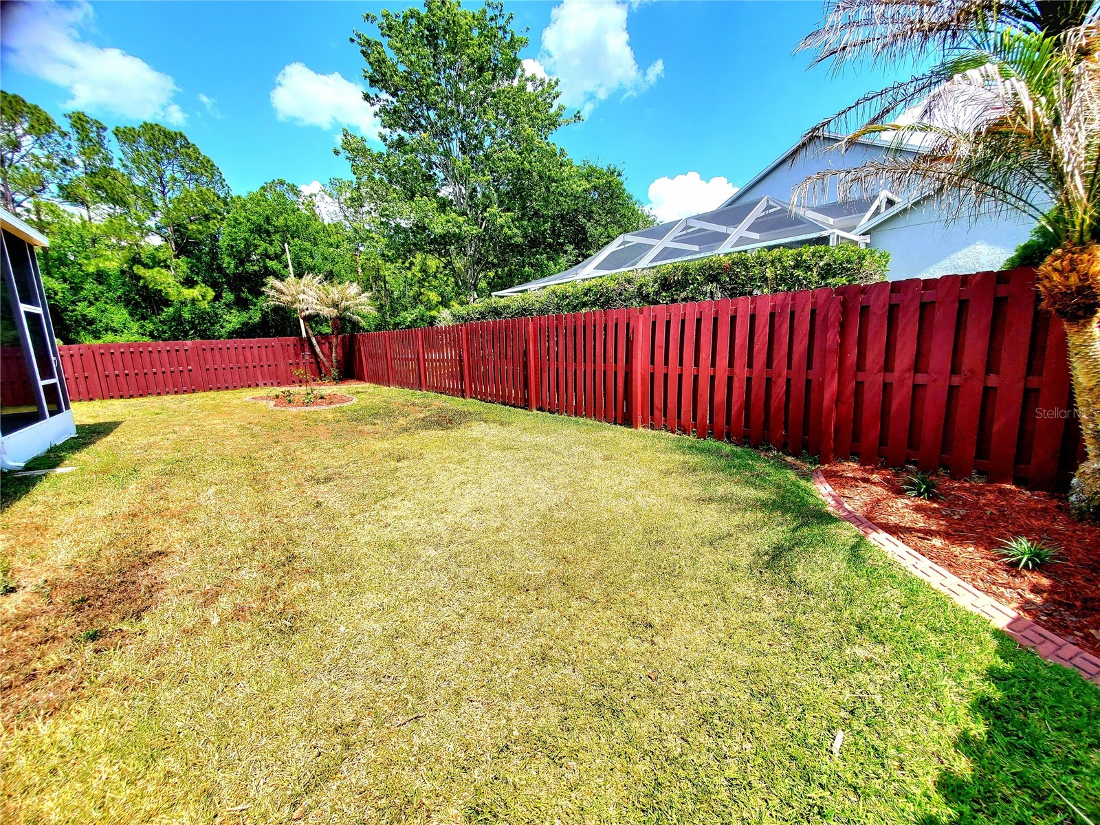 4994 Ridgemoor Circle Palm Harbor FL 34685 TB8495926 image24