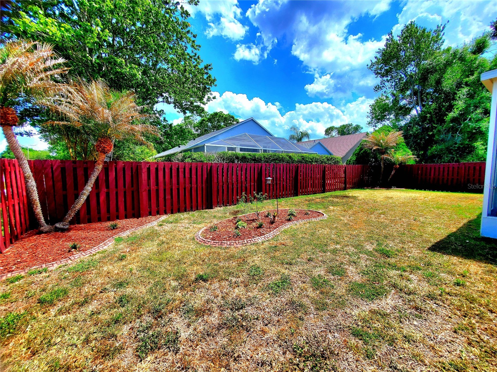 4994 Ridgemoor Circle Palm Harbor FL 34685 TB8495926 image25