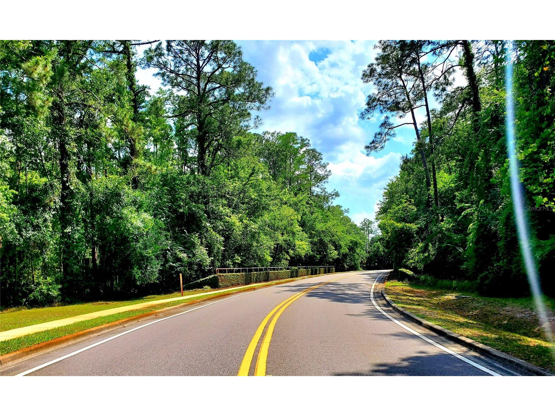 4994 Ridgemoor Circle Palm Harbor FL 34685 TB8495926 image26