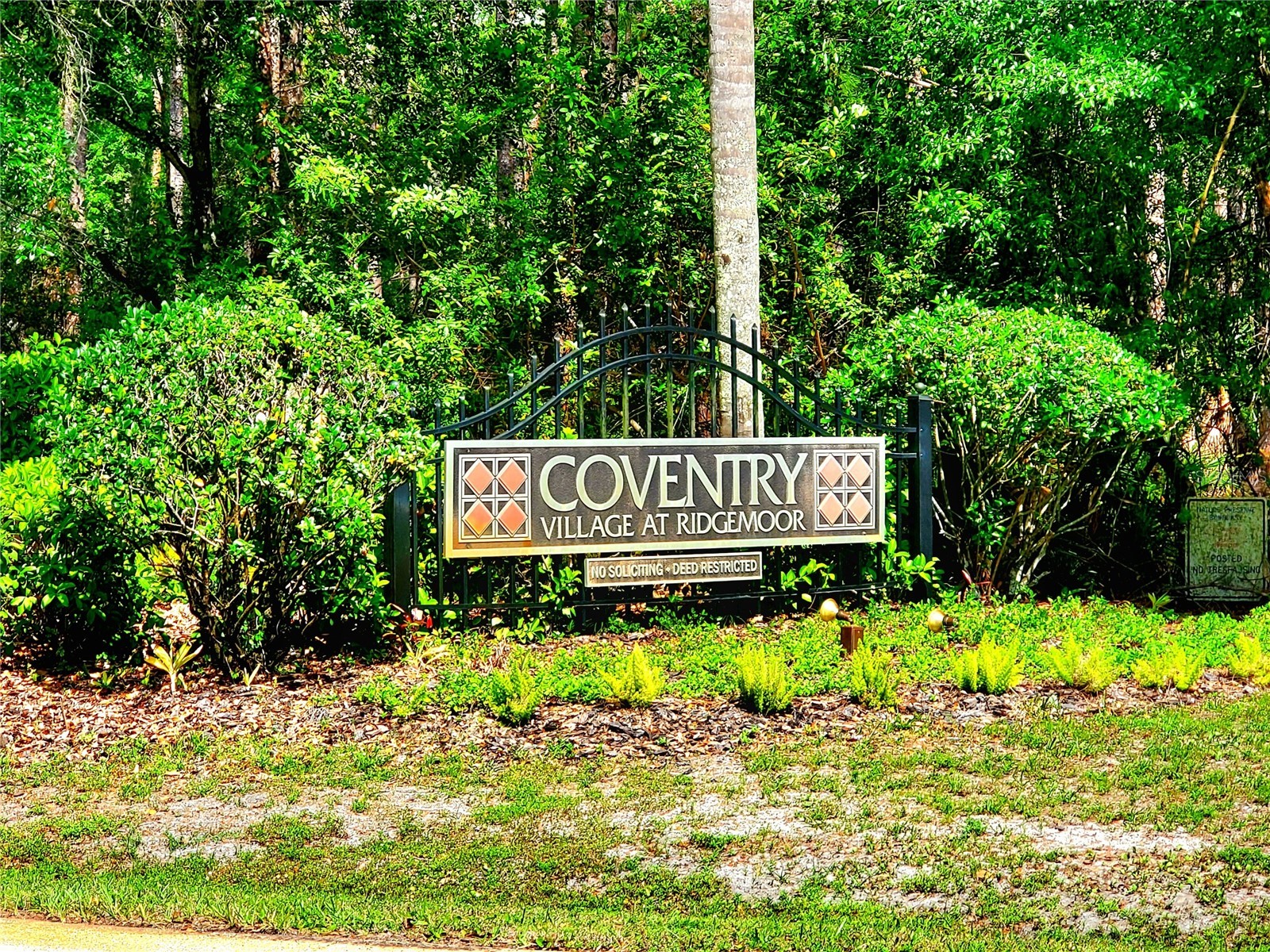 4994 Ridgemoor Circle Palm Harbor FL 34685 TB8495926 image27