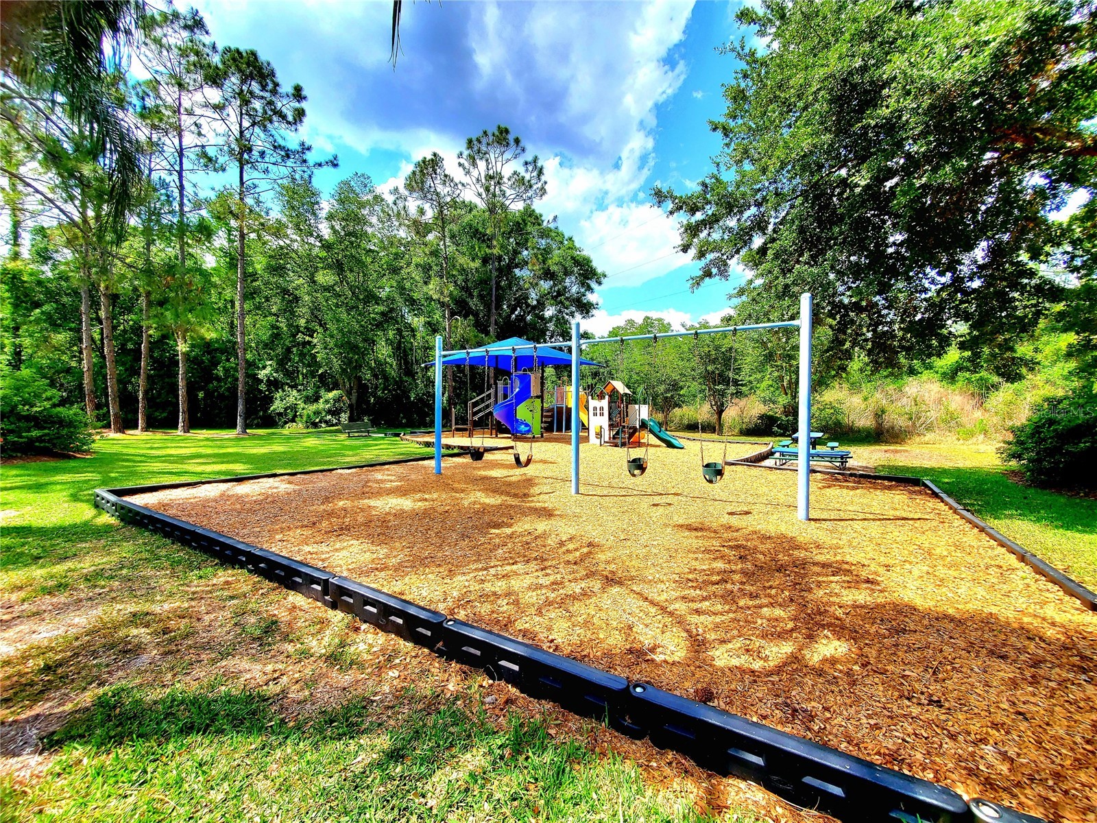 4994 Ridgemoor Circle Palm Harbor FL 34685 TB8495926 image28