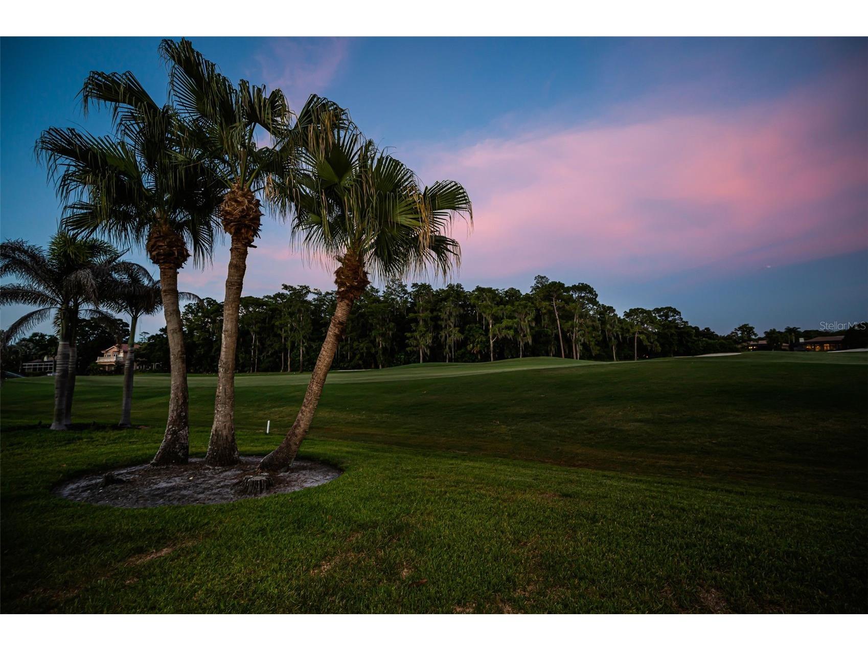 4995 Camberley Lane Oldsmar FL 34677 TB8523334 image2