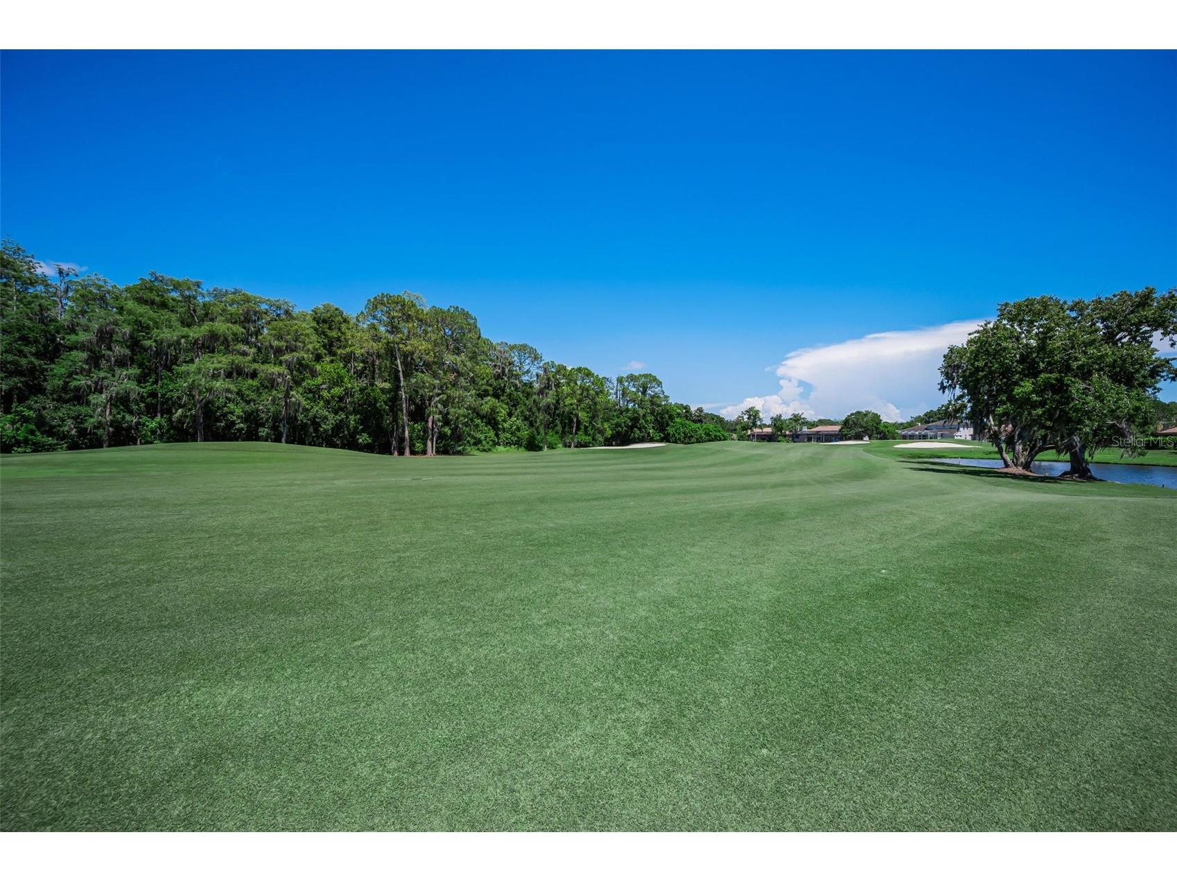 4995 Camberley Lane Oldsmar FL 34677 TB8523334 image37