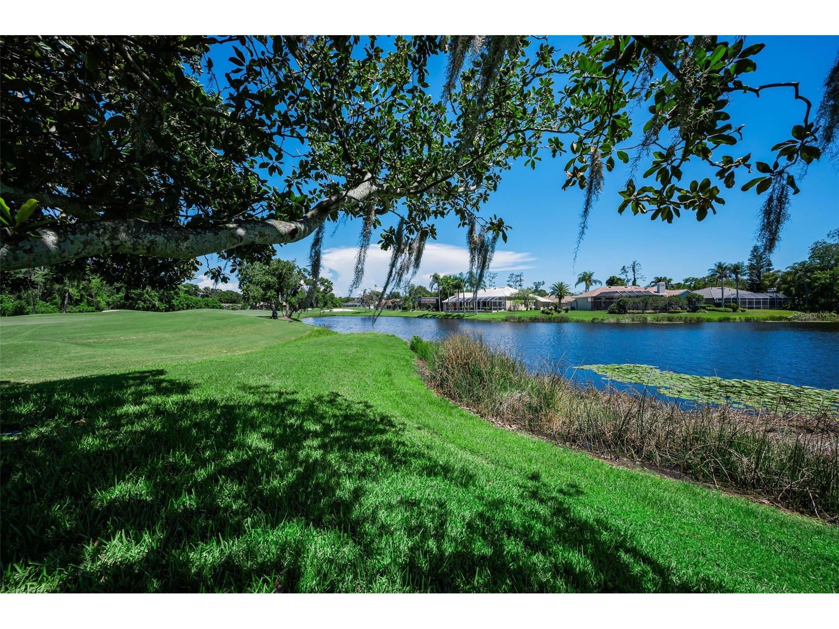4995 Camberley Lane Oldsmar FL 34677 TB8523334 image38