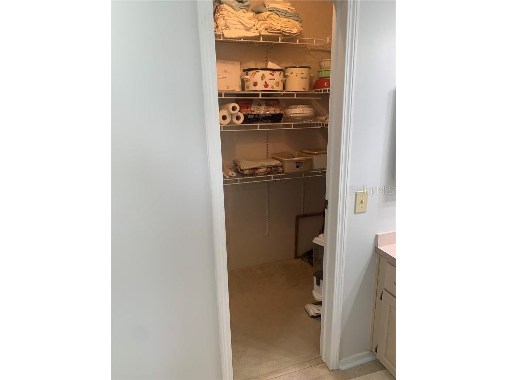 4995 Mount Olive Shores Drive Polk City FL 33868 P4936230 image35