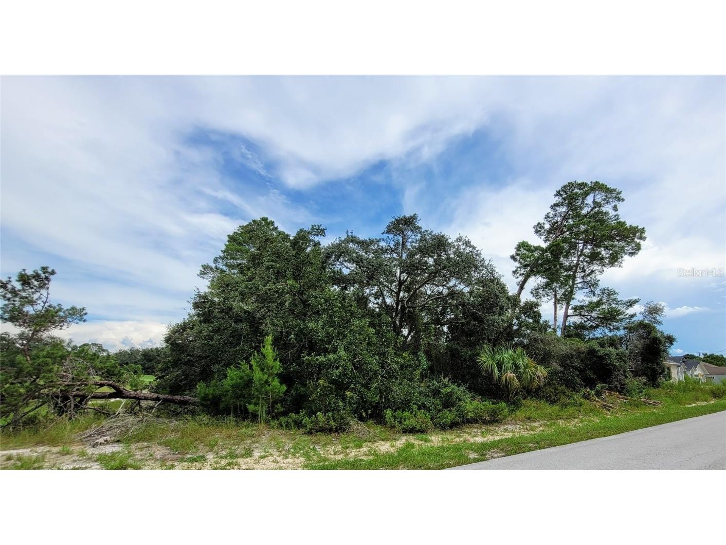 4998 Kirkwood Avenue Spring Hill FL 34608 W7848808 image1