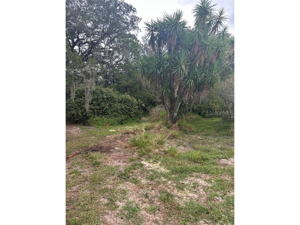 4998 Lake Lowery Road Haines City FL 33844 P4936853 image11