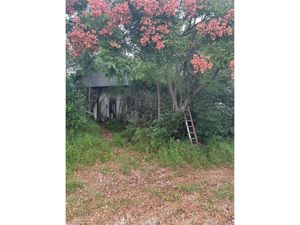 4998 Lake Lowery Road Haines City FL 33844 P4936853 image13