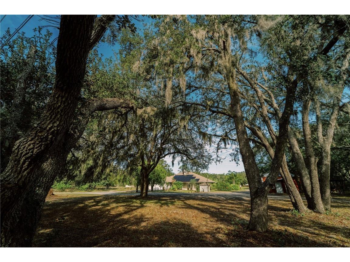 4999 Disston Drive Saint Cloud FL 34771 S5119447 image1