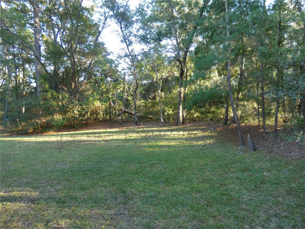 5 Asparagus Court Homosassa FL 34446 W7880156 image4