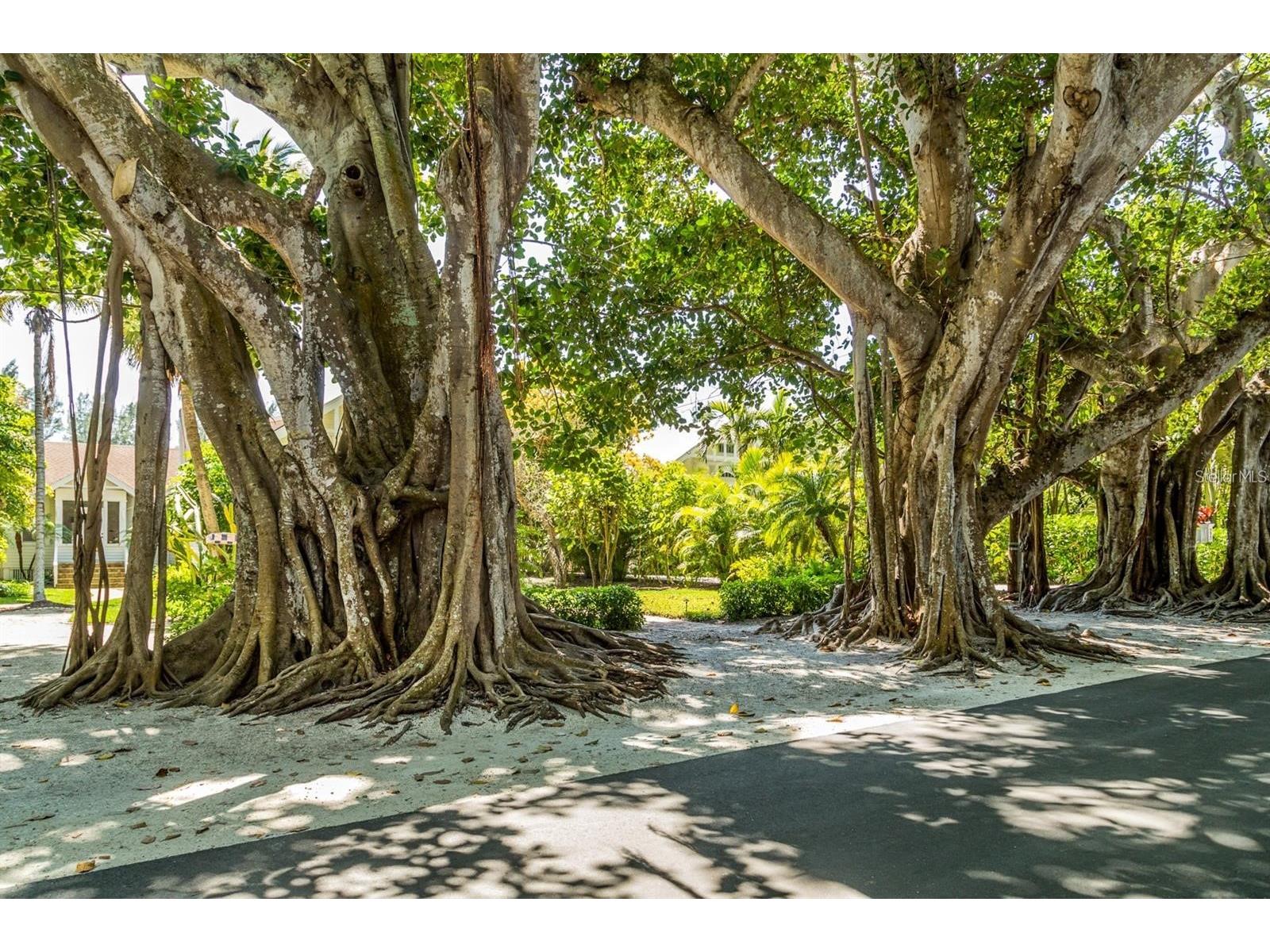 5 Aye Court Placida FL 33946 D6145761 image88