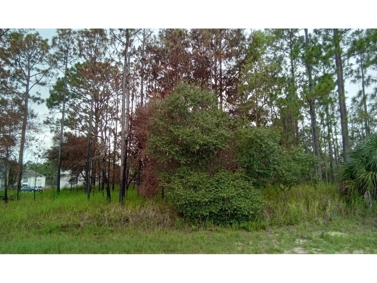 5 Bahia Road Ocala FL 34472 O6143021 image1