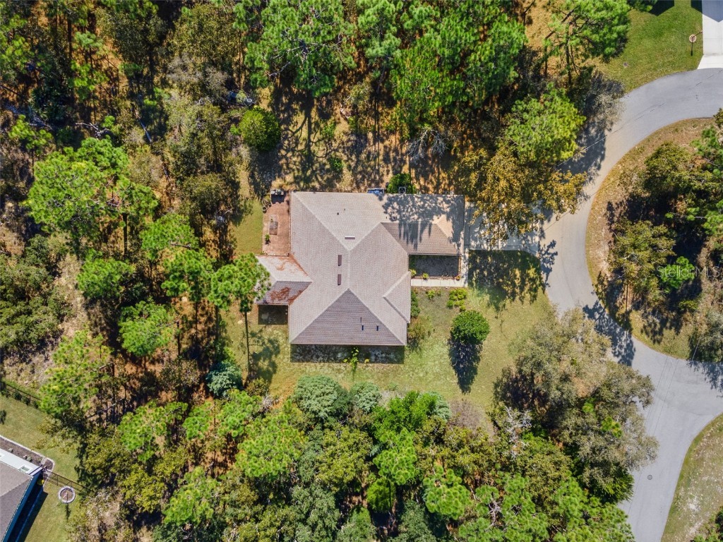 5 Boxleaf Homosassa FL 34446 W7880230 image36