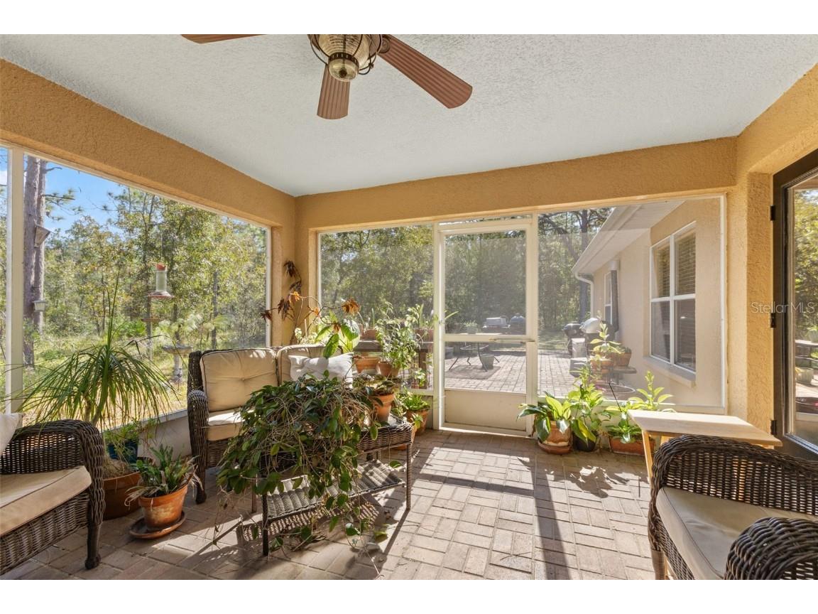 5 Boxleaf Homosassa FL 34446 W7880230 image42