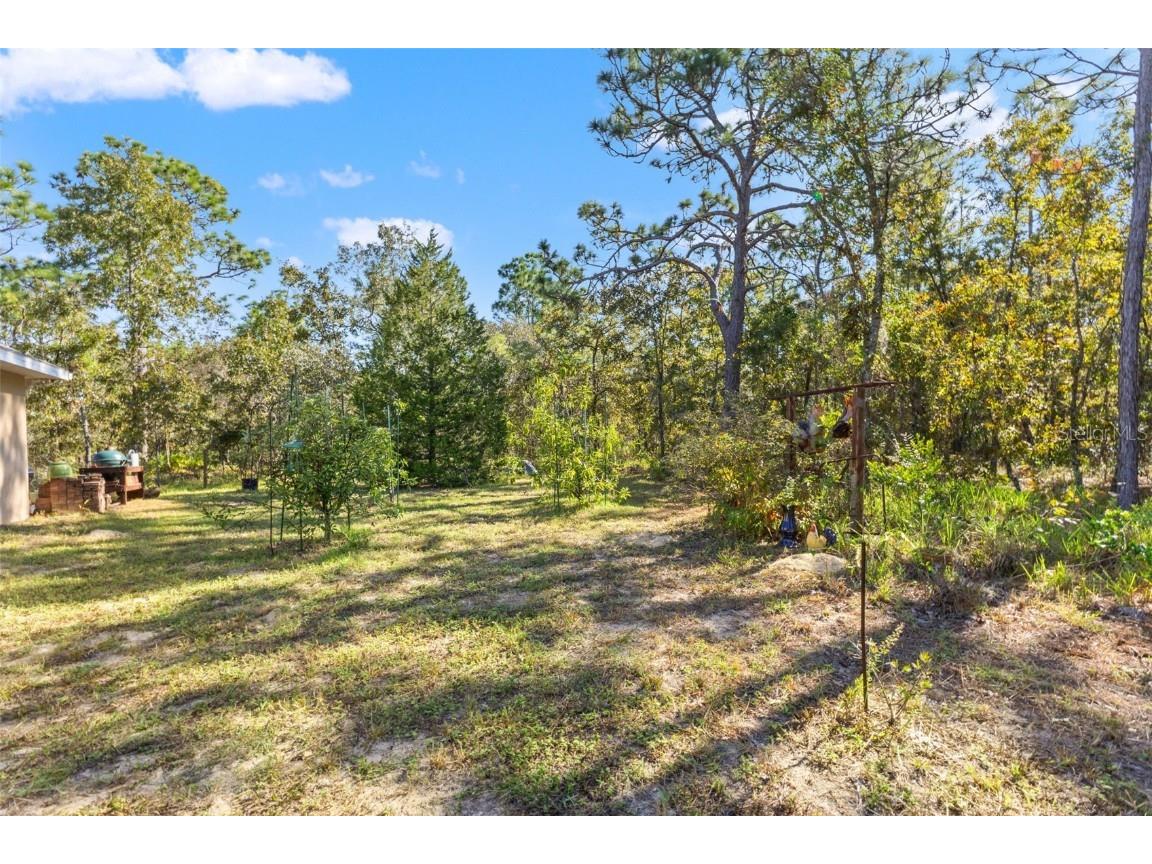 5 Boxleaf Homosassa FL 34446 W7880230 image44