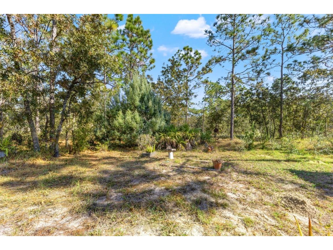 5 Boxleaf Homosassa FL 34446 W7880230 image54