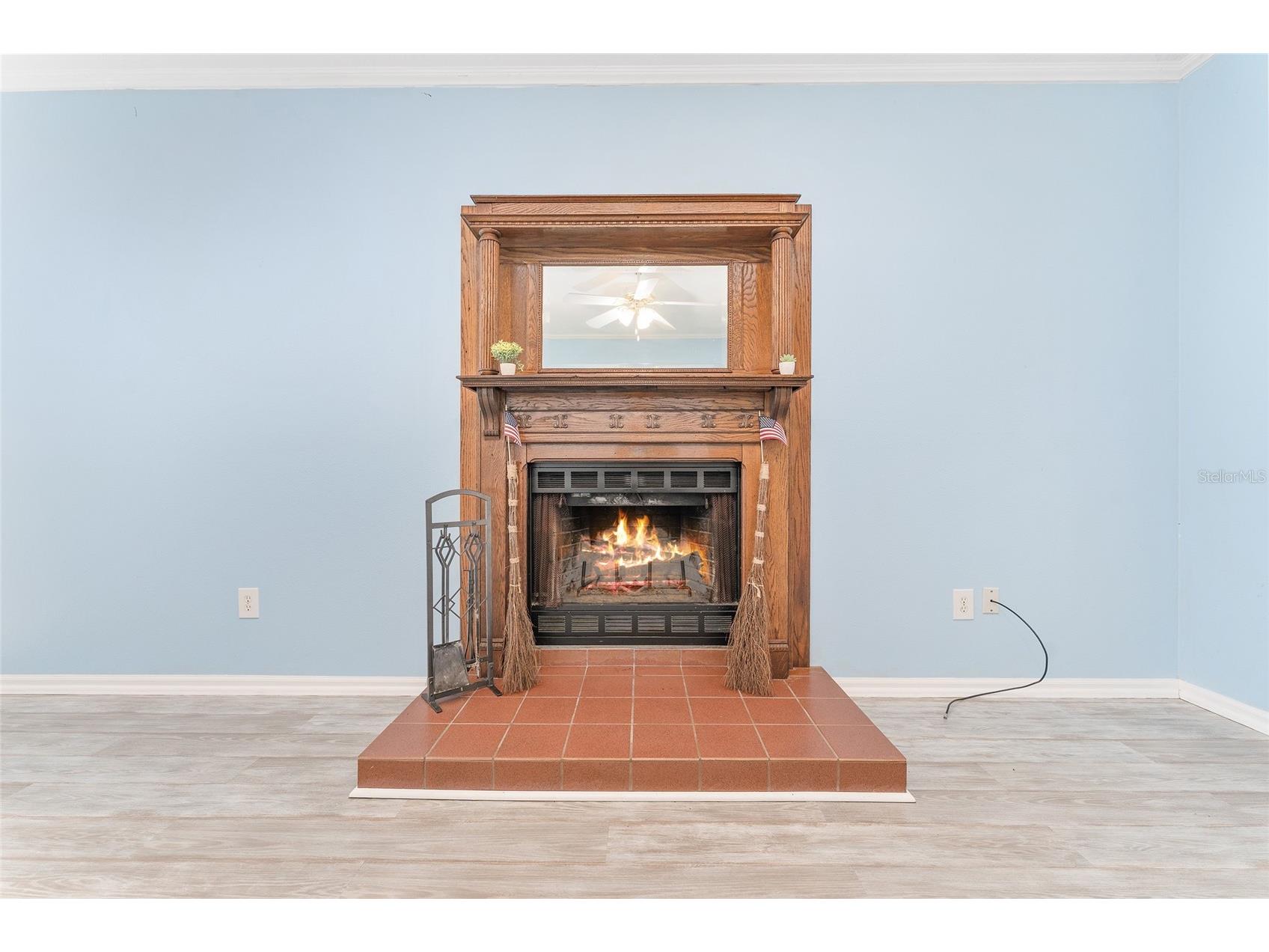 5 Captains Cove Road Inglis FL 34449 TB8416171 image10