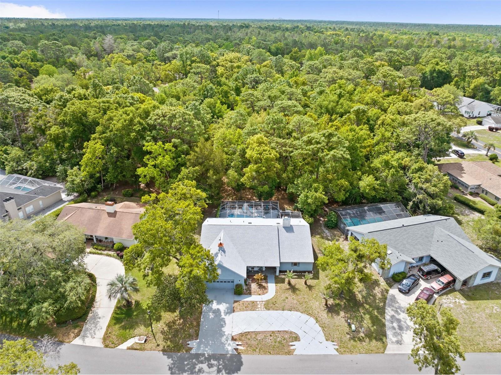 5 Chinkapin Circle Homosassa FL 34446 TB8500980 image28