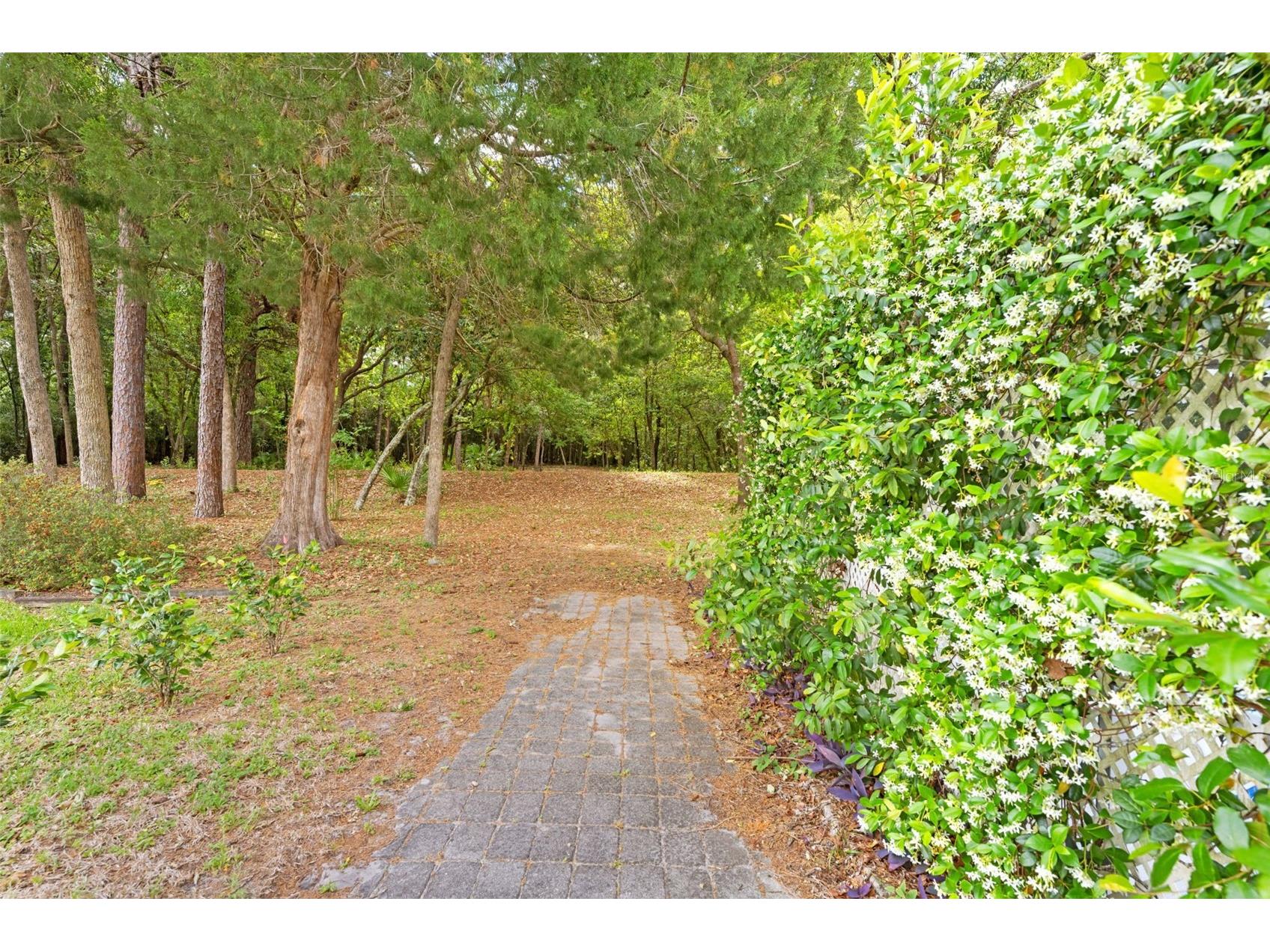 5 Chinkapin Circle Homosassa FL 34446 TB8500980 image37