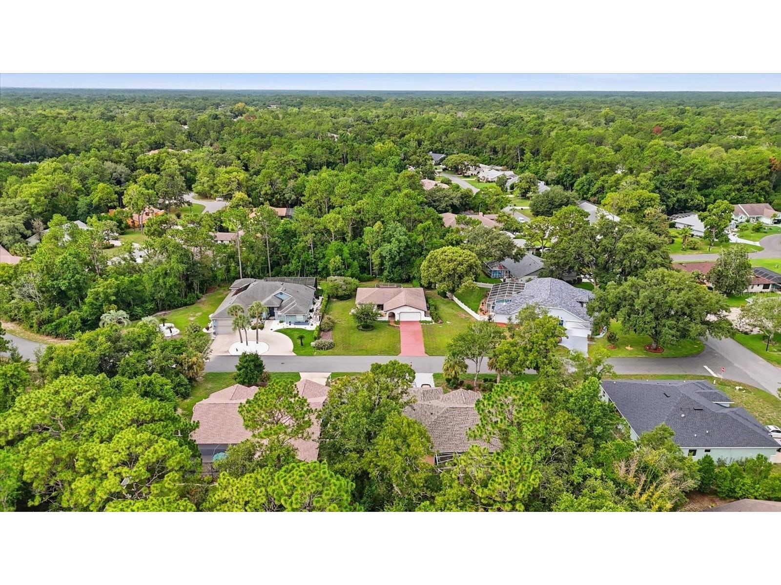 5 Dahoon Drive Homosassa FL 34446 W7887617 image41
