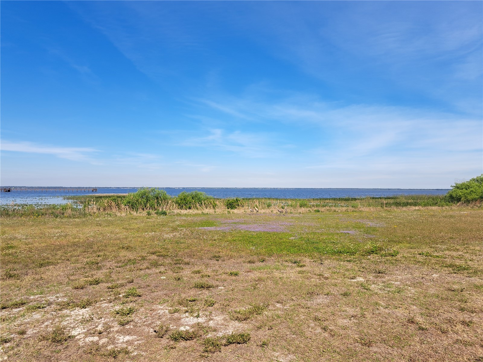 5 El Dorado Drive Indian Lake Estates FL 33855 O6391653 image12