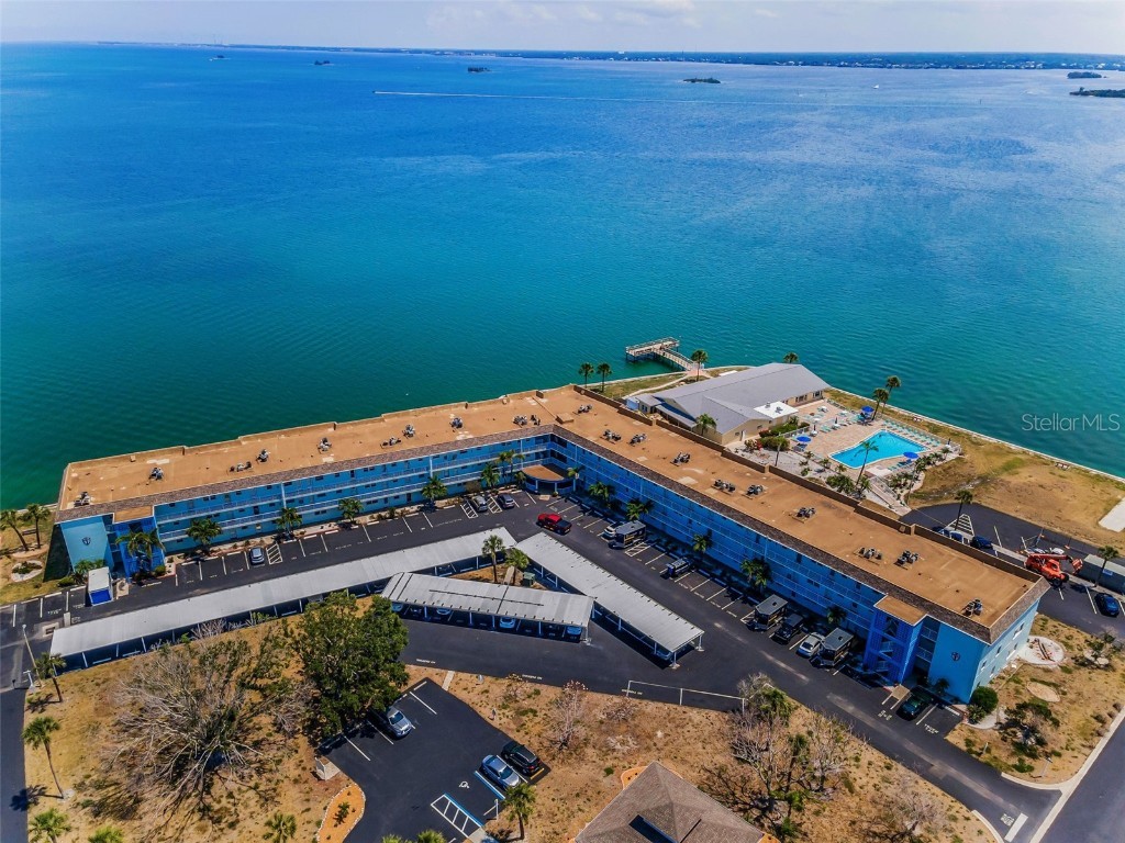 5 Gateshead Drive #308 Dunedin FL 34698 TB8385299 image1