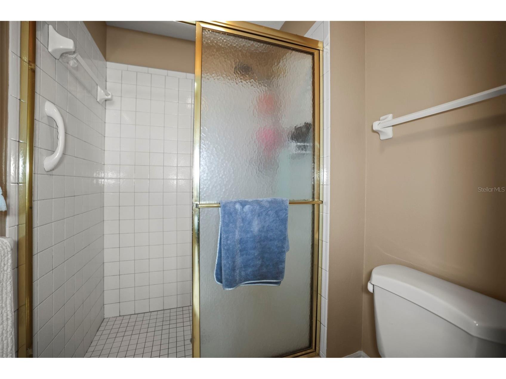 5 Island Park Place #206 Dunedin FL 34698 - INTRACOASTAL WATERWAY TB8486287 image29