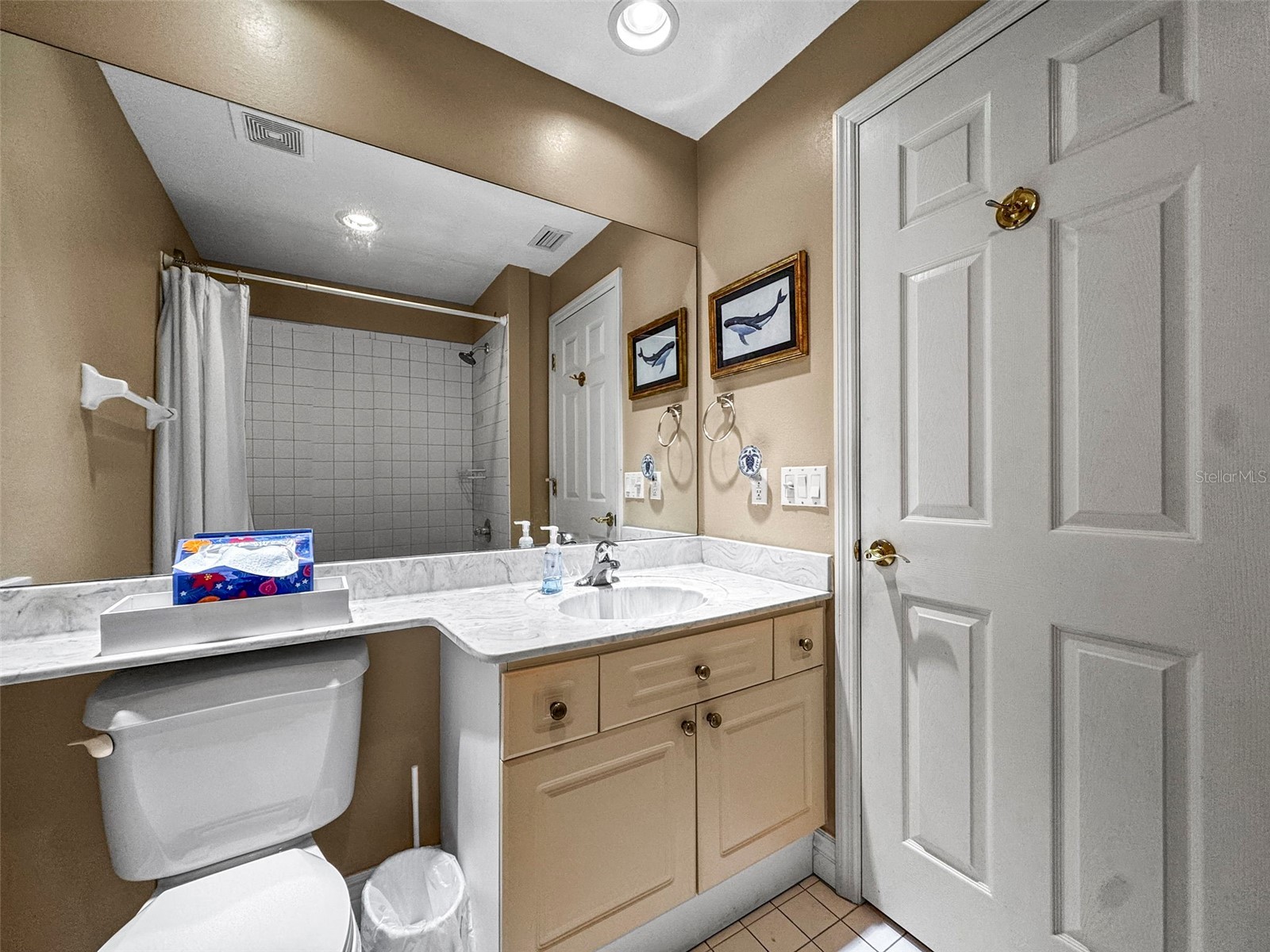 5 Island Park Place #206 Dunedin FL 34698 - INTRACOASTAL WATERWAY TB8486287 image31